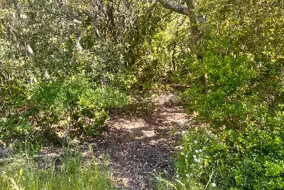 Agricolo in vendita, Telti via Monti Longu., Telti