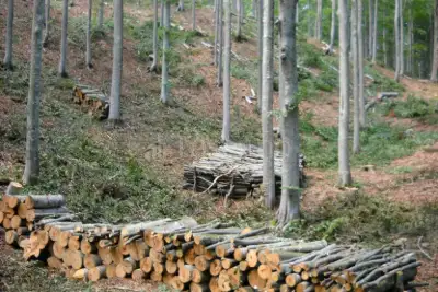 Agricolo in vendita, Via della Pietrara, Vetralla