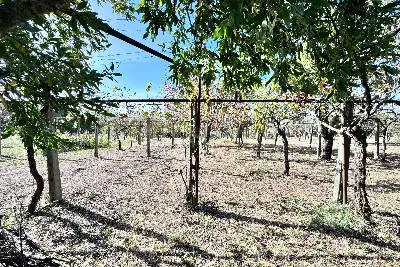 Villa in vendita, via colle cancellata grande , Zagarolo