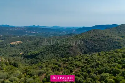 Agricolo in vendita, Monti, Monti