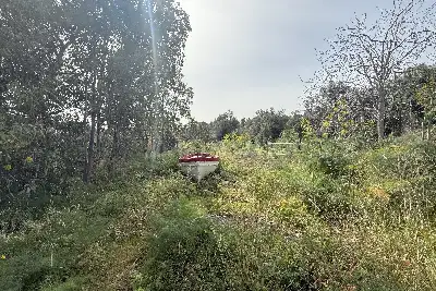 Agricolo in vendita, Via Barbagallo, Aci Castello