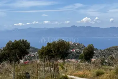 Agricolo in vendita, Motta San Giovanni, Motta San Giovanni