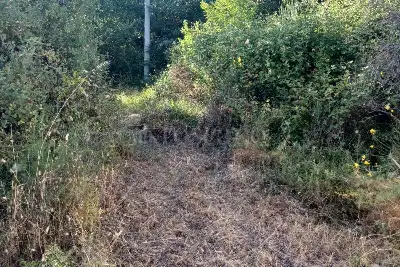 Casa Indipendente in vendita, Contrada Tempa Carnevale , Marsico Nuovo, Marsico Nuovo