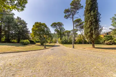 Villa in vendita, Via per Frosinone, Ceccano
