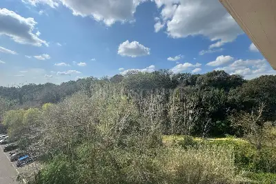 Attico in vendita, Viale Luigi Moretti, Roma