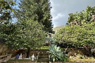 Villa in vendita, Via Lewis Carrol, Palermo