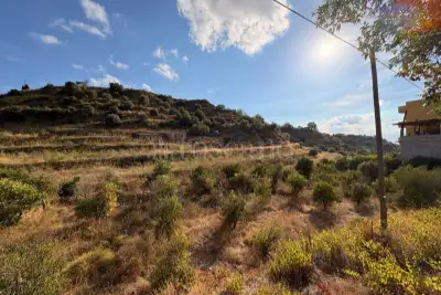 Agricolo in vendita, Via Provinciale per Armo-Gallina, Reggio di Calabria