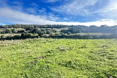Agricolo in vendita, SANT'ANTONIO DI GALLURA , Sant'Antonio di Gallura