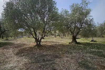 Edificabile Residenziali in vendita, Strada Vicinale Rizzeddu Gioscari 4, Sassari