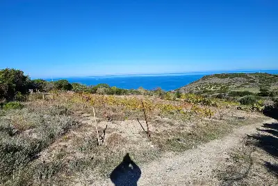 Agricolo in vendita, Località Li Paddimi, Castelsardo