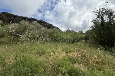 Agricolo in vendita, Via San Cosimo, Messina