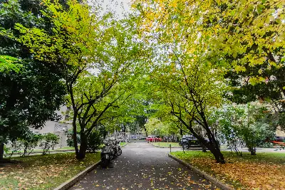 Casa in affitto, Viale Teodorico, Milano