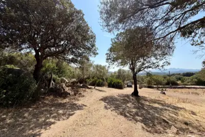Edificabile Residenziali in vendita, , Telti, Telti