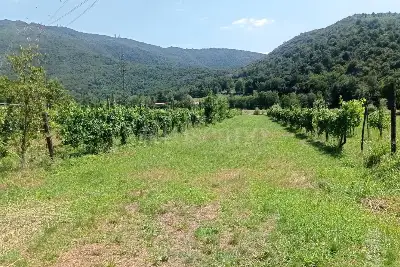 Agricolo in vendita, Località Prada , Nave
