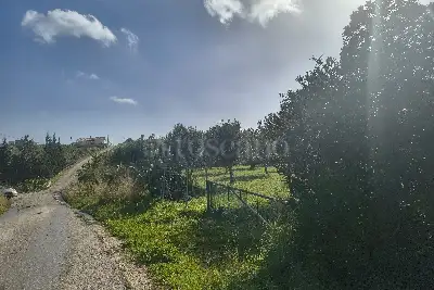 Agricolo in vendita, Via Martognella, Valderice