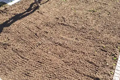 Casa Indipendente in vendita, Via Trincea delle Frasche, Fiumicino