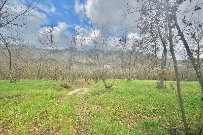 Agricolo in vendita, Via Belle Donne, Cesinali
