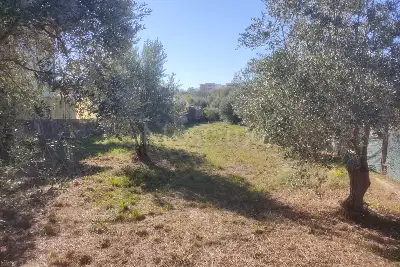 Agricolo in vendita, Vicolo della Patatona , Ciampino