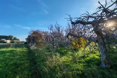 Capannone in vendita, SS16, Brindisi