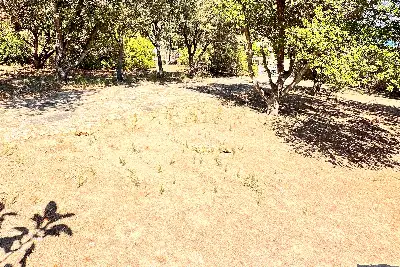 Villa in vendita, Via Mar Rosso, Olbia