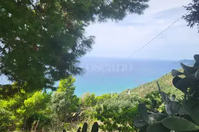Agricolo in vendita, Località Vignole, San Mauro Cilento