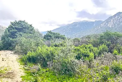 Agricolo in vendita, Loc. Caldosu, Sant'Antonio di Gallura