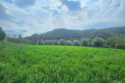 Agricolo in vendita, Via Fontanino, Concesio