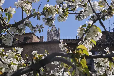 Casa in vendita, Via Franciosa, Siena