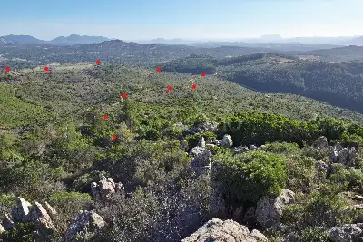 Agricolo in vendita, Berchidda, SP 138, Berchidda