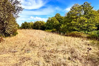 Agricolo in vendita, Loc Graminatoggiu , Loiri Porto San Paolo