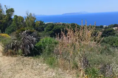 Agricolo in vendita, Piano Guastella, Erice