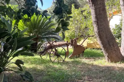 Casa Indipendente in vendita, Strada Statale Orientale Sarda, Olbia