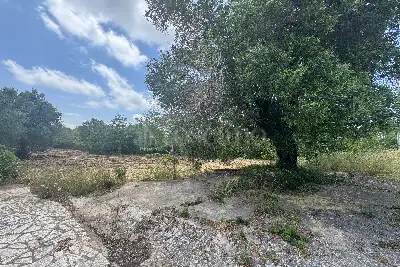 Villa Bifamiliare in vendita, Contrada Salinola, Ostuni