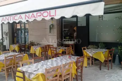 Commercial Activity for sale, Via dei Latini, Latina