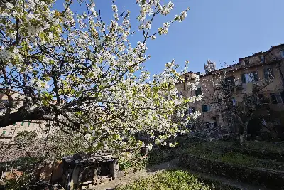 Casa in vendita, Via Franciosa, Siena