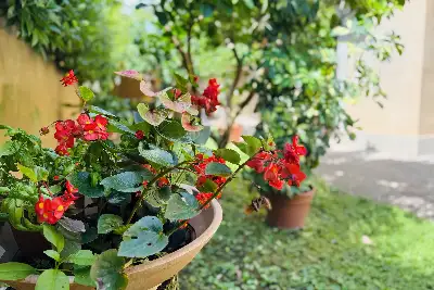 Villa in vendita, Via Appia Pignatelli, Roma