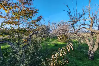 Capannone in vendita, SS16, Brindisi