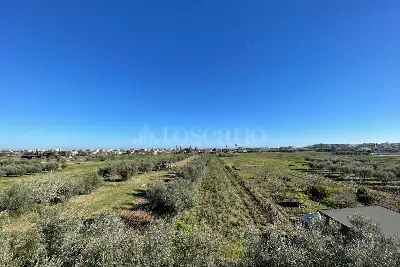 Villa Bifamiliare in vendita, Via Roma, Martinsicuro