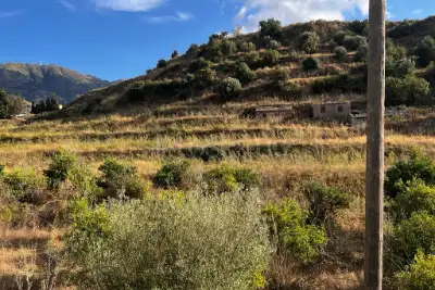 Agricolo in vendita, Via Provinciale per Armo-Gallina, Reggio di Calabria