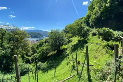 Casa Indipendente in vendita, Via Rovo, Cadegliano-Viconago