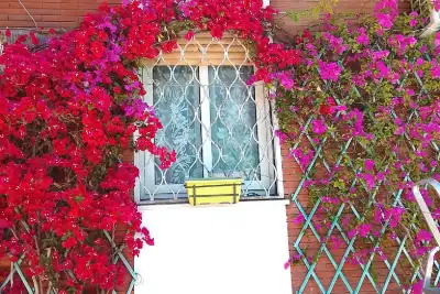 Casa in vendita, Via Camillo Guidi, Roma