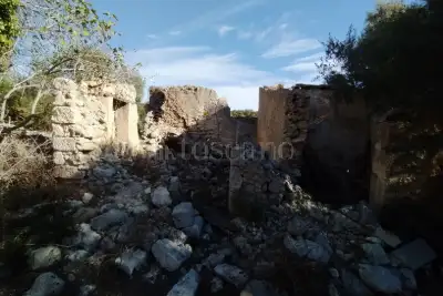 Agricolo in vendita, Noto, Noto