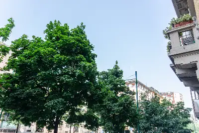 Ufficio in vendita, Via Monte Rosa, Milano