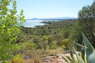 Villa in vendita, Cala sassari, Golfo Aranci