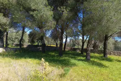 Villa in vendita, Strada Spinagallo, Siracusa