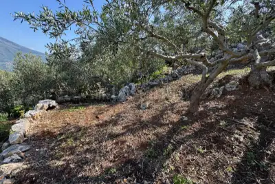 Villa in vendita, Contrada Visicari, Custonaci