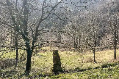 Rustico in vendita, Dizzasco, Loc. Pesee, Dizzasco