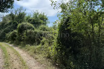 Agricolo in vendita, Via Monticelli, Soiano del Lago