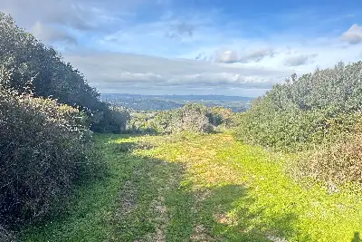 Agricolo in vendita, SANT'ANTONIO DI GALLURA , Sant'Antonio di Gallura