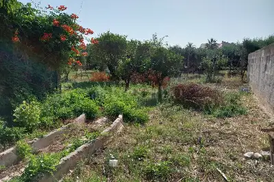 Casa Indipendente in vendita, Strada Pastore, Misiliscemi